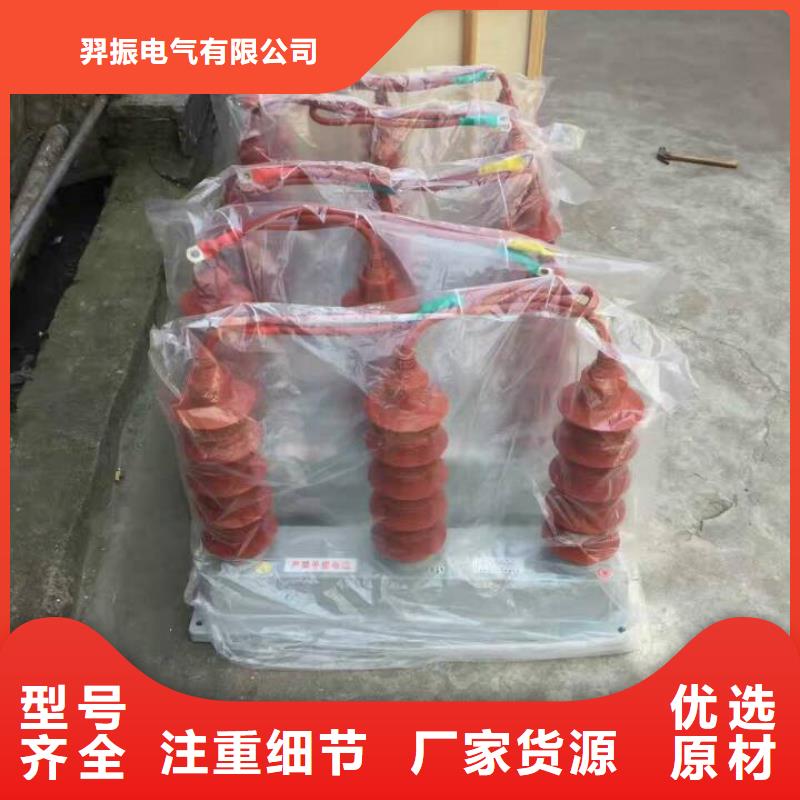 保护器(组合式避雷器)BSTG-C-7.6/800