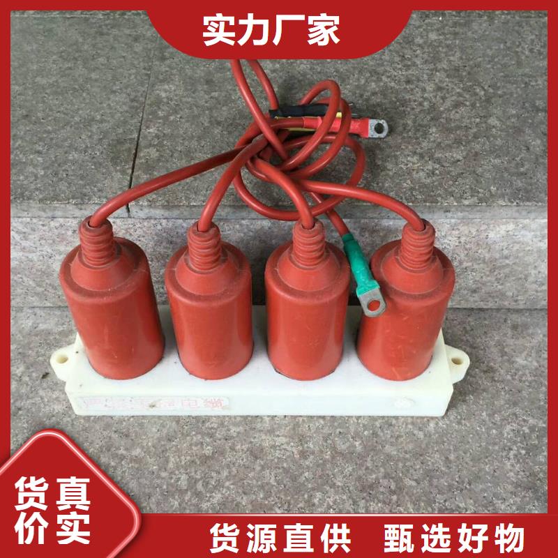 〖过电压保护器〗TBP-B-42F/280在线咨询