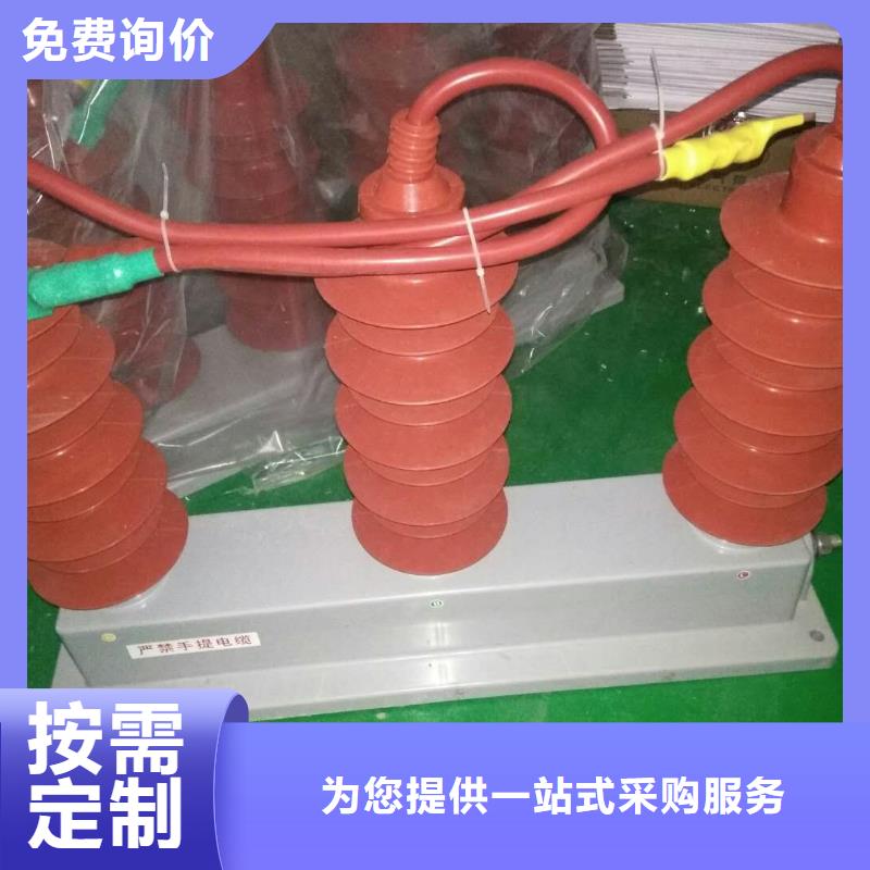 【羿振电力牌】过电压保护器TBP-C-12.7/85
