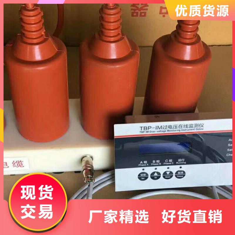 过电压保护器(组合式避雷器)BSTG-C-17