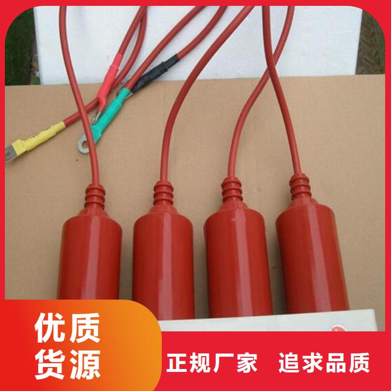 SYB-C-7.6KV/85-J-过电压保护器