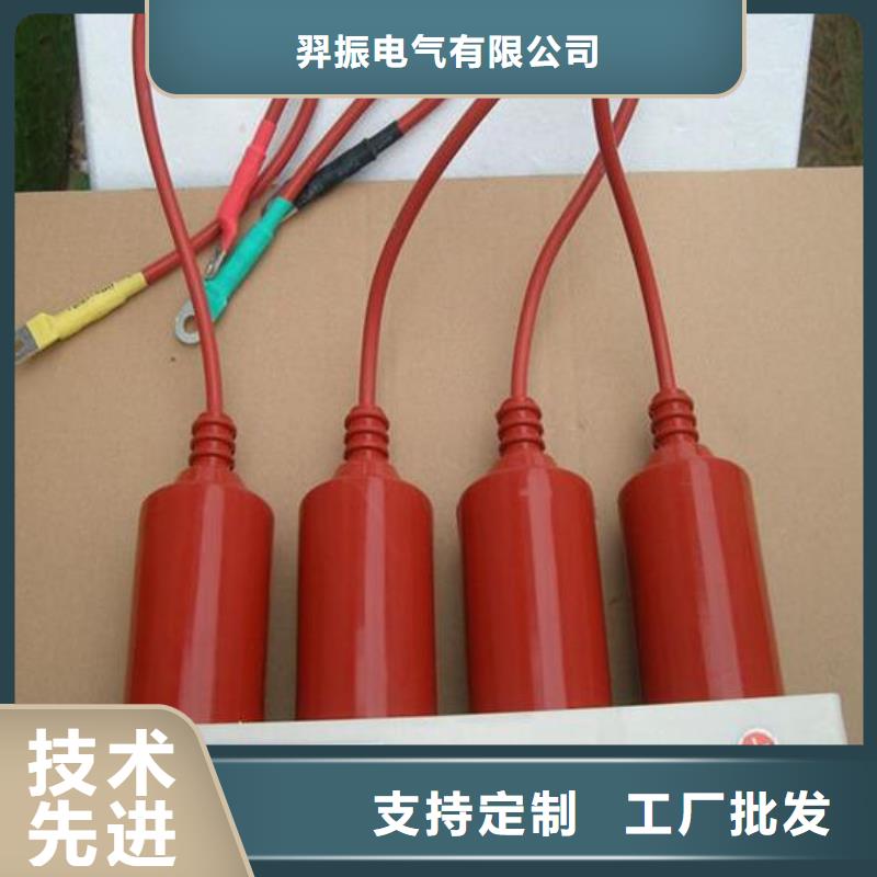 TBP-B-7.6/150-J【过电压保护器】