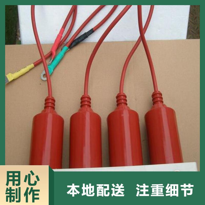 保护器(组合式避雷器)TBP-A-7.6/85-J