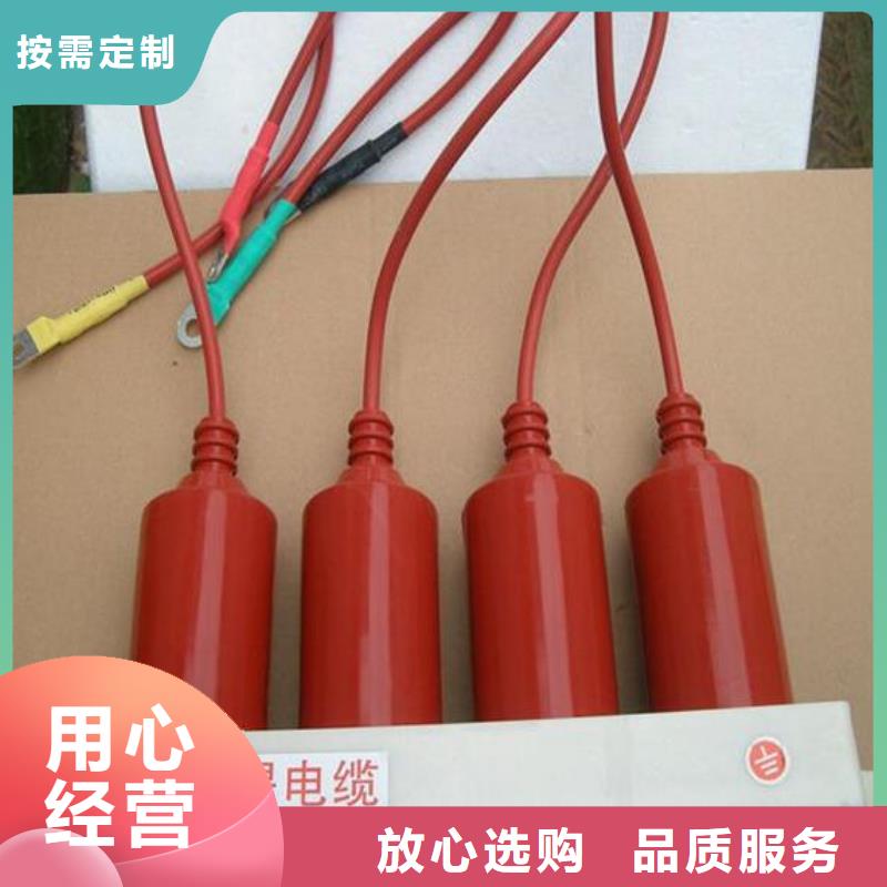 过电压保护器(组合式避雷器)YH5CZ-7.6/22*2