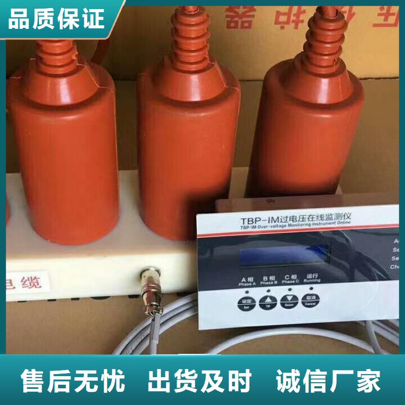 保护器(组合式避雷器)TBP-B-10