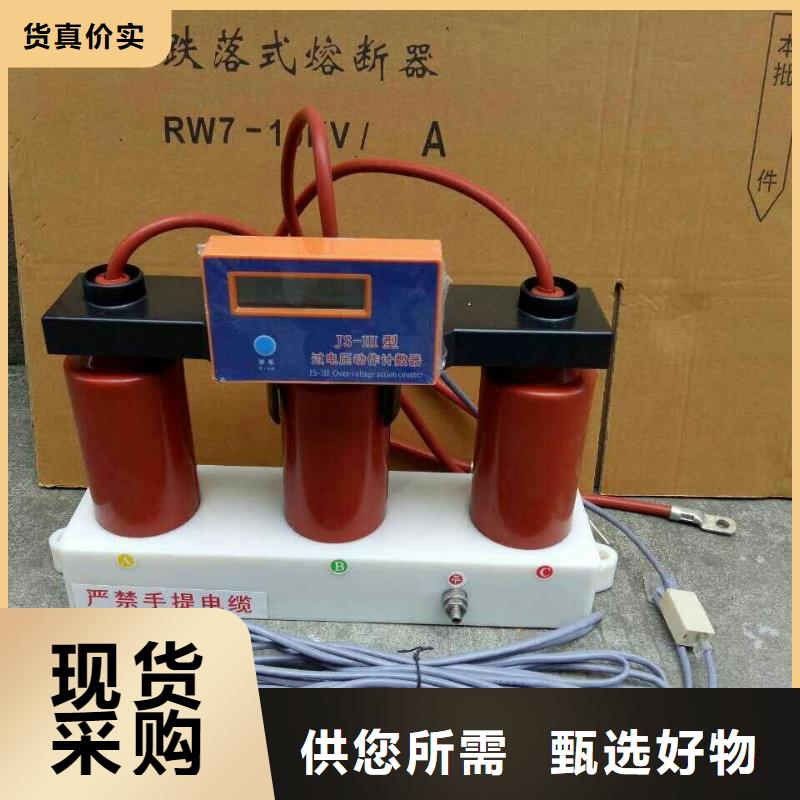 〖过电压保护器〗TBP-B-6.3/131欢迎咨询