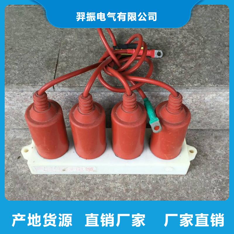 〖过电压保护器〗TBP-B-6.3/131欢迎咨询