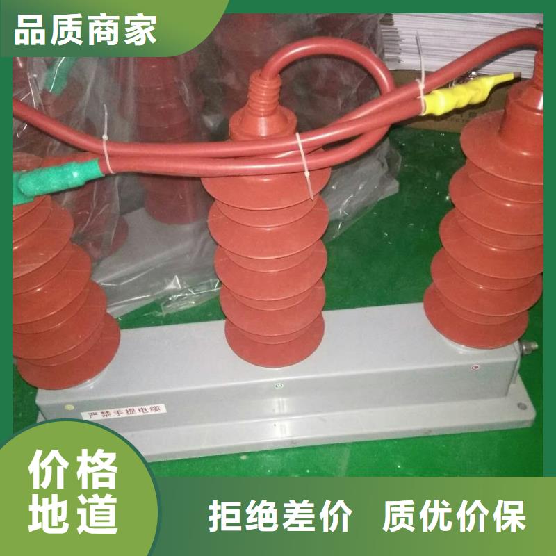 TBP-B-7.6/150-J【过电压保护器】