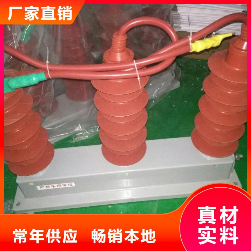 保护器(组合式避雷器)RTB-Z-12.7KV/85-N