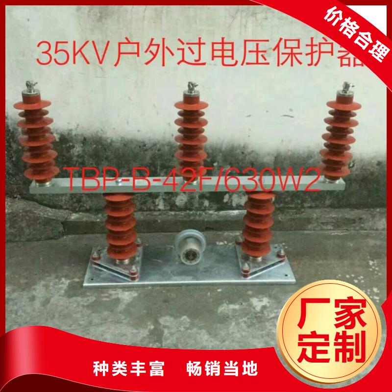 过电压保护器(组合式避雷器)TBP-A-12.7/131
