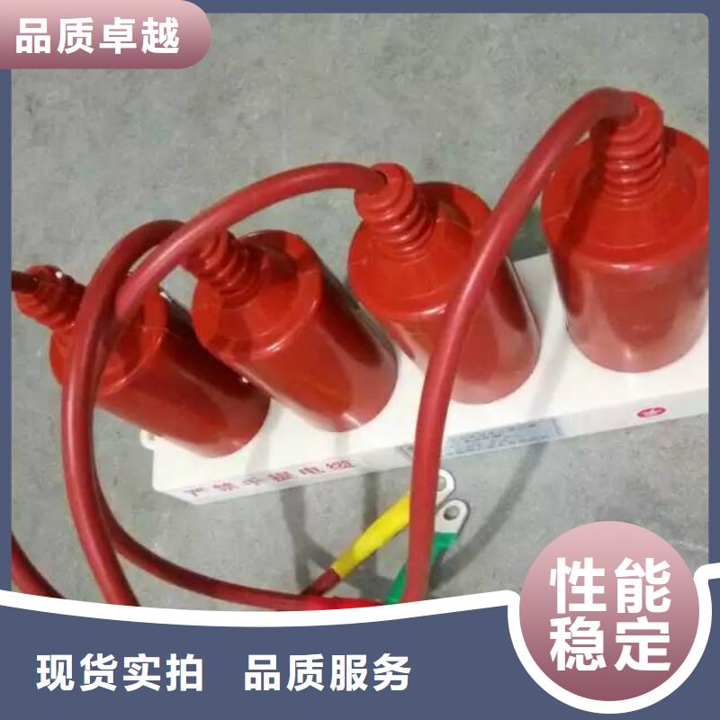 保护器(组合式避雷器)BSTG-C-7.6/800