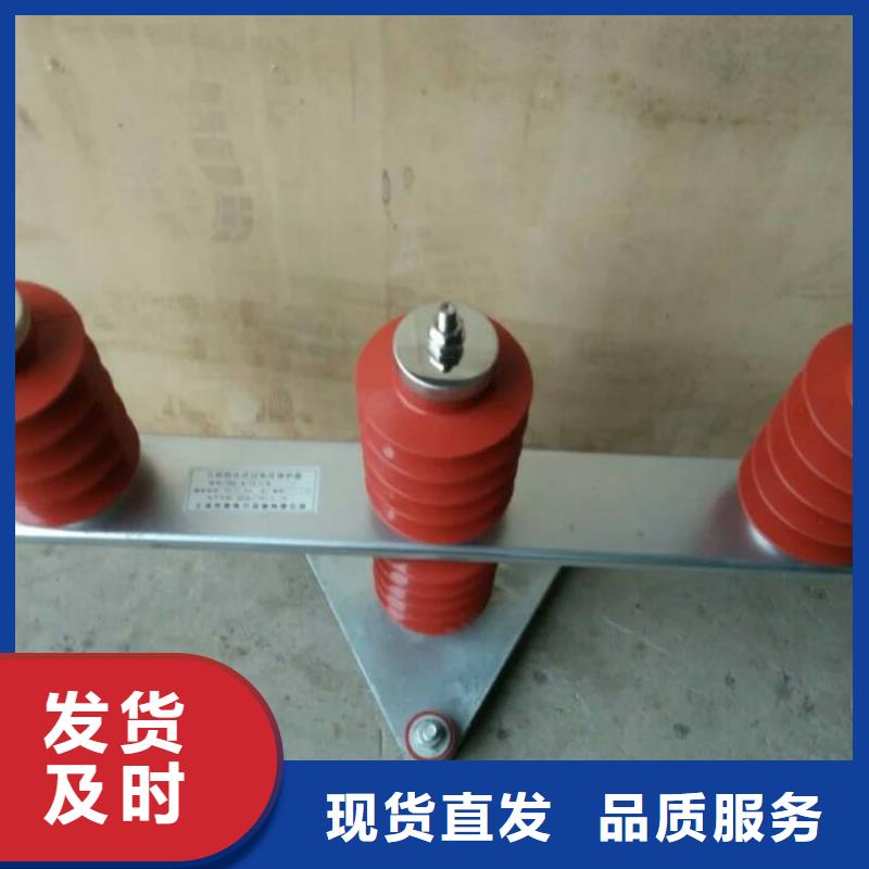过电压保护器(组合式避雷器)TBP-C-12.7F/150-J