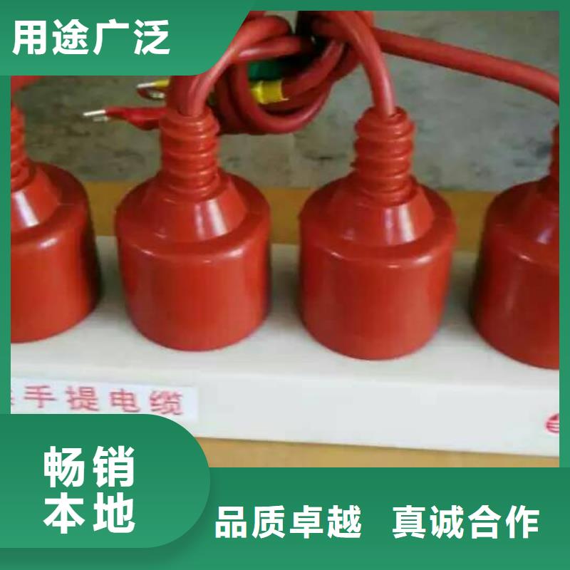 TBP-C-7.6/150-J【过电压保护器】