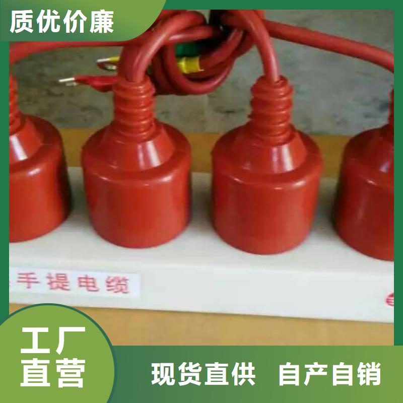 TBP-B-7.6/150-J【过电压保护器】