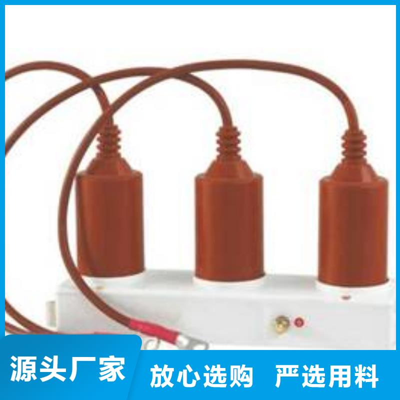 过电压保护器(组合式避雷器)TBP-A-12.7/131