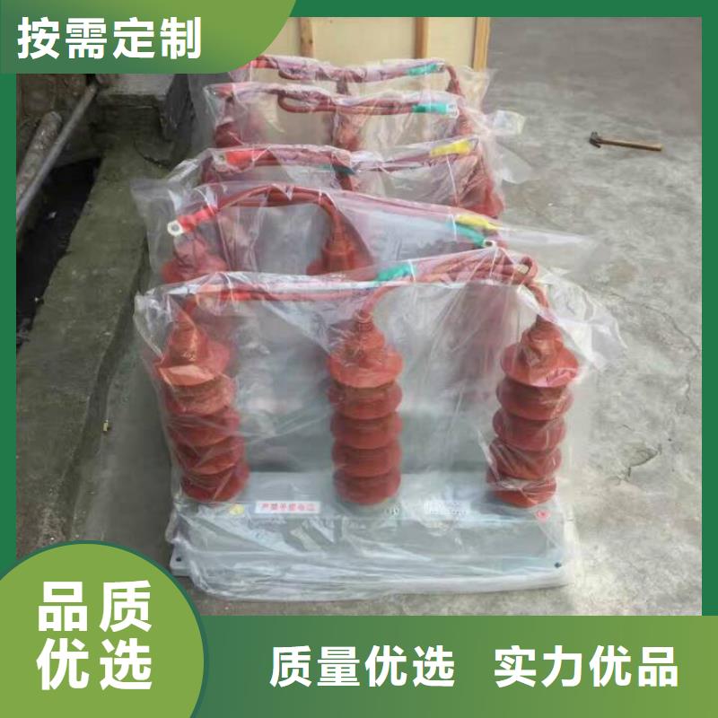 保护器(组合式避雷器)TBP-A-7.6/85-J