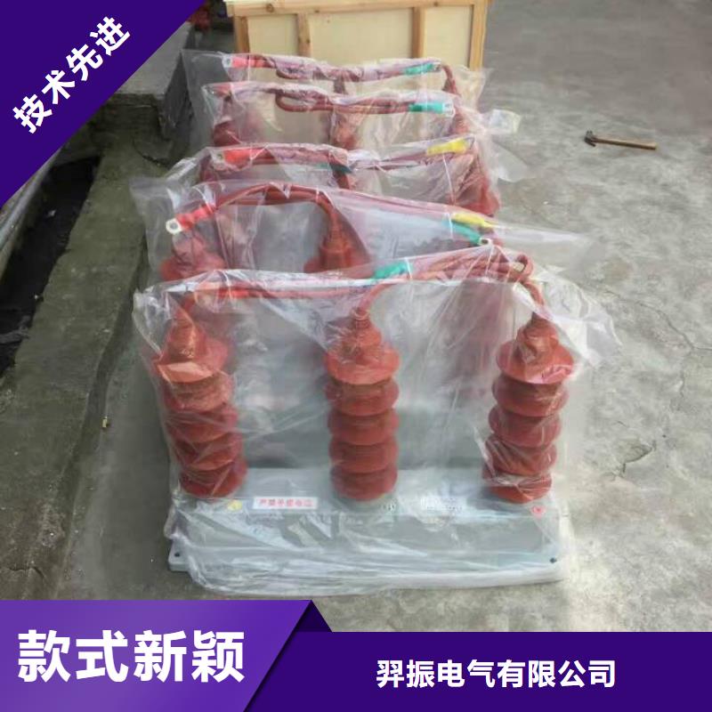 ＿过电压保护器(组合式避雷器)SHK-TBP-12.7/J