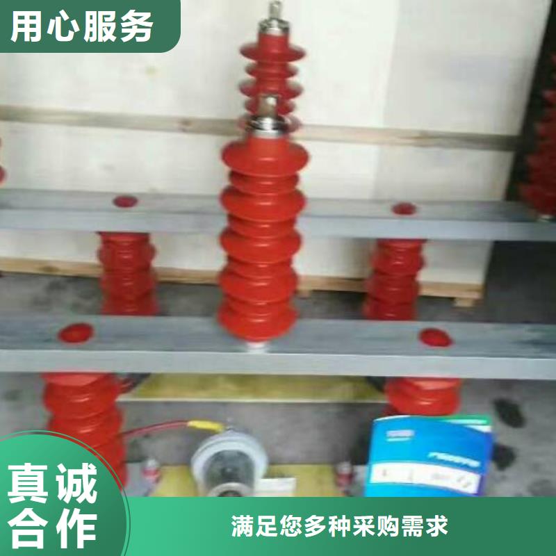 TBP-B-6.3/131-J【过电压保护器】