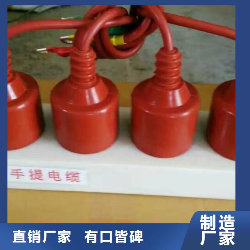 过电压保护器(组合式避雷器)YH5WS-10/30*10/30