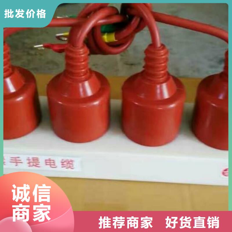 〖过电压保护器〗TBP-C-42/400W1货源充足