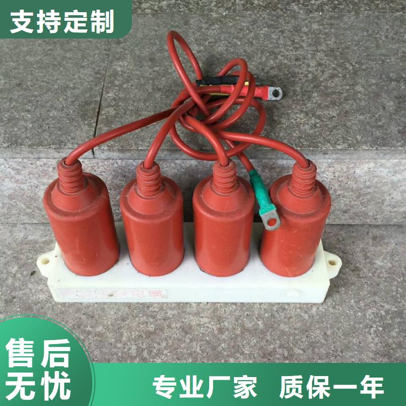 〖过电压保护器〗TBP-C-6.3/131-J量大从优