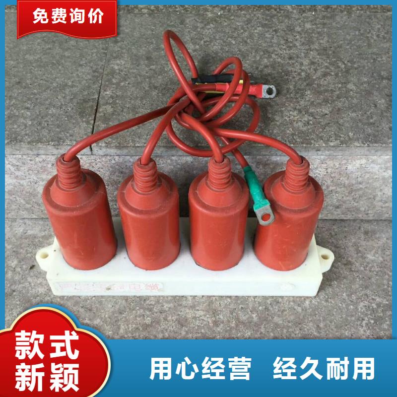 〖过电压保护器〗RTB-D-35KV/300-J价格优惠