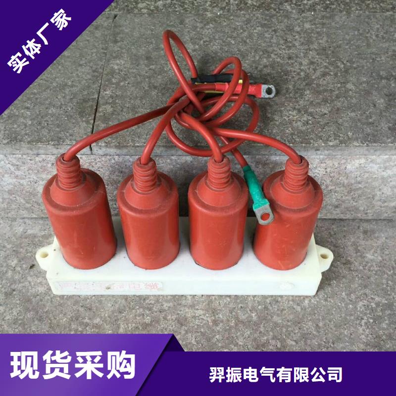 过电压保护器(组合式避雷器)TBP-C-42/630W2