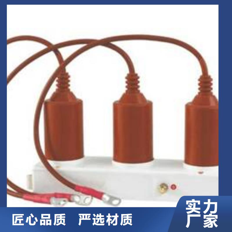 过电压保护器(组合式避雷器)TBP-7.6/J