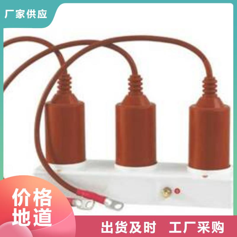 【组合式避雷器】TBP-B-42F/200