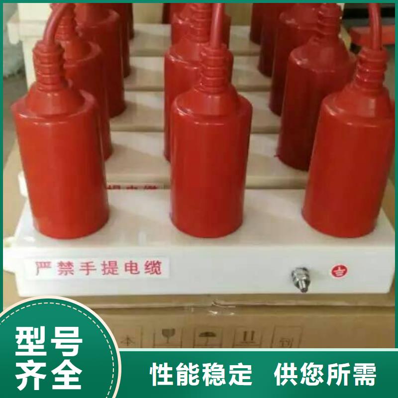 保护器(组合式避雷器)RTB-Z-12.7KV/85-N