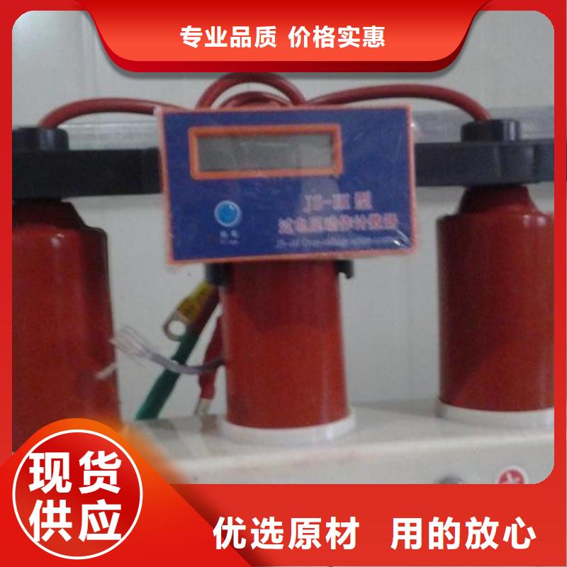 【组合式避雷器】TBP-B-12.7/85-J