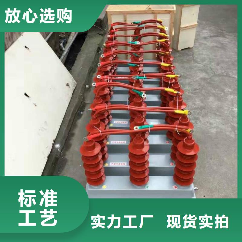 过电压保护器-SKK-17Z/W型大能容组合过电压保护器
