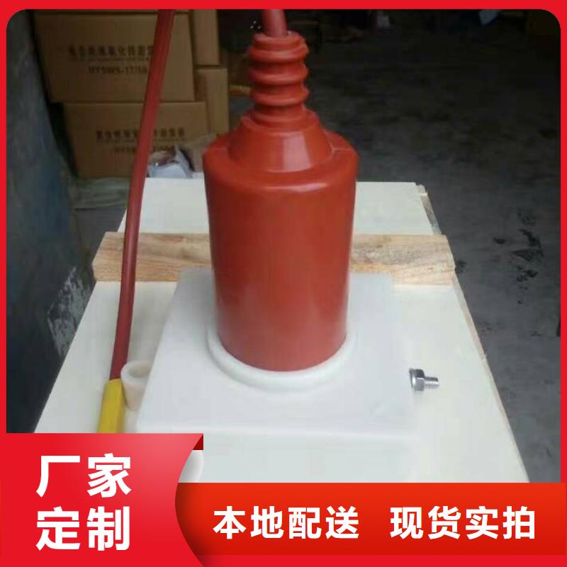 YH5CD-3.8/9.5*3.8/9.5-过电压保护器