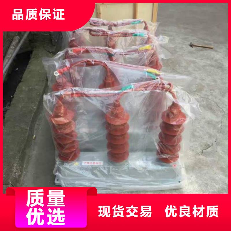 过电压保护器(组合式避雷器)TBP-C-42/630W2