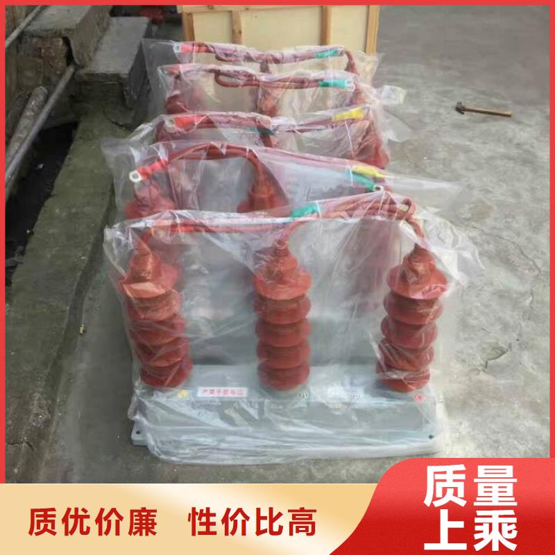 保护器(组合式避雷器)BSTG-C-7.6/800