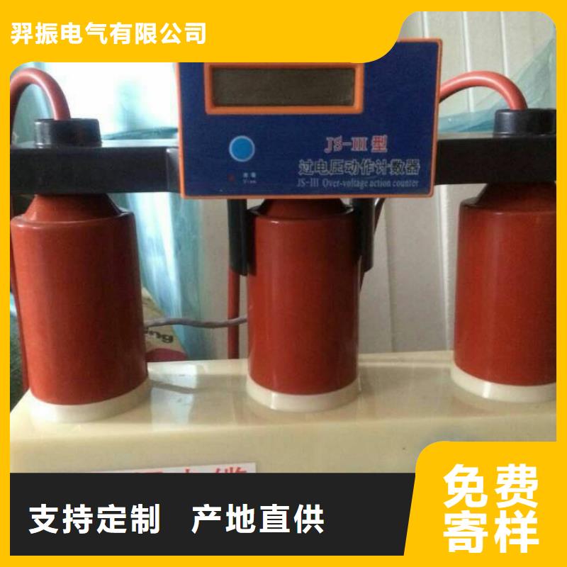 保护器(组合式避雷器)TBP-A-7.6/85-J