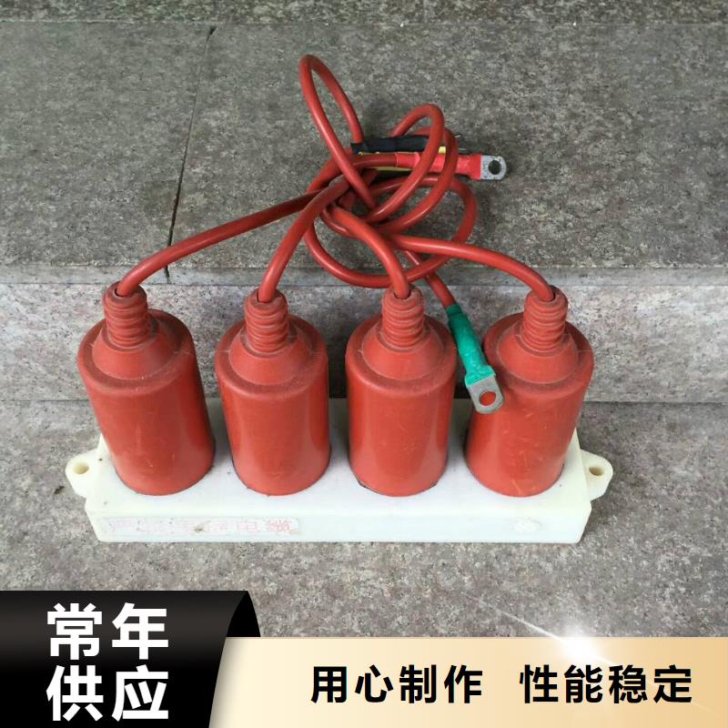 过电压保护器(组合式避雷器)TBP-C-12.7F/150-J