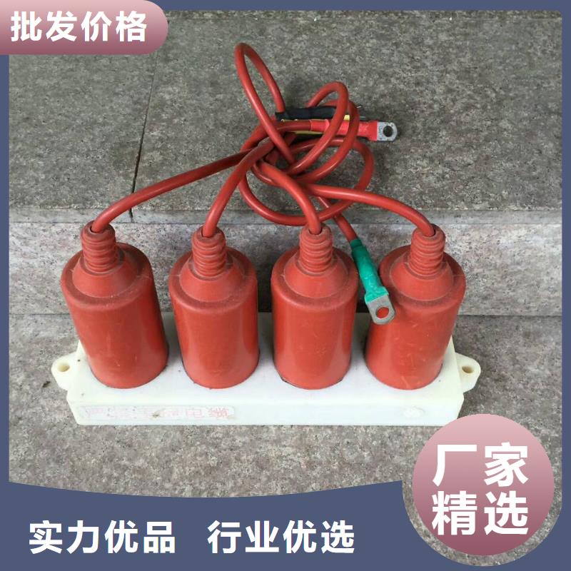 SKK-10L/W型大能容组合过电压保护器