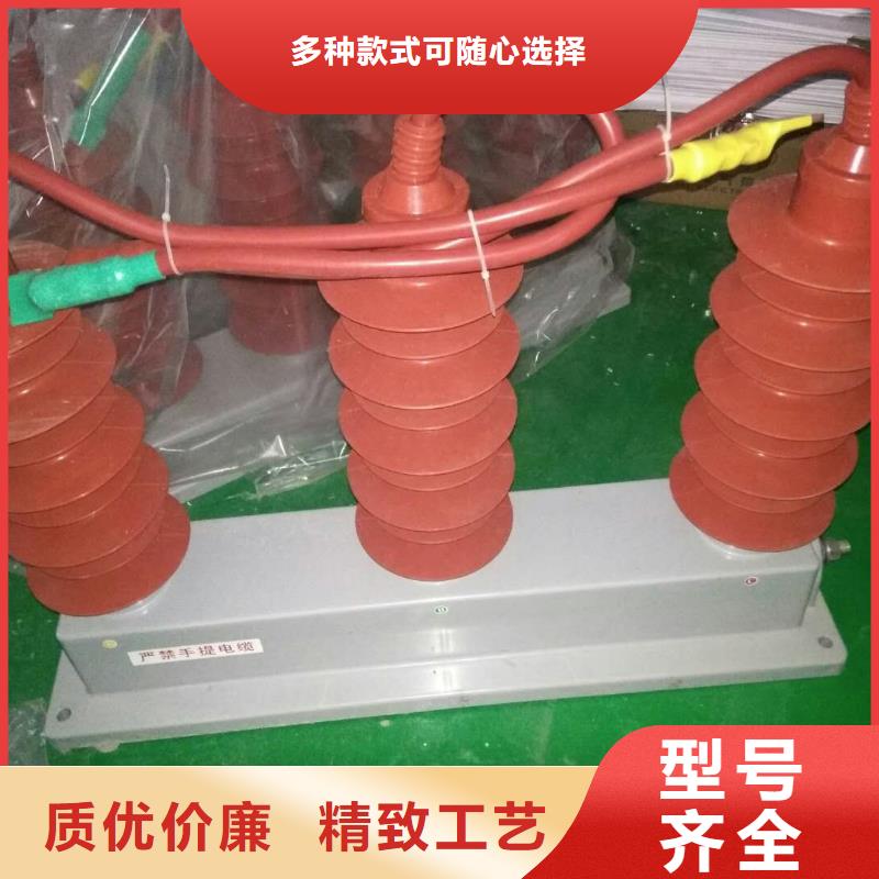 〖过电压保护器〗RTB-D-35KV/300-J价格优惠
