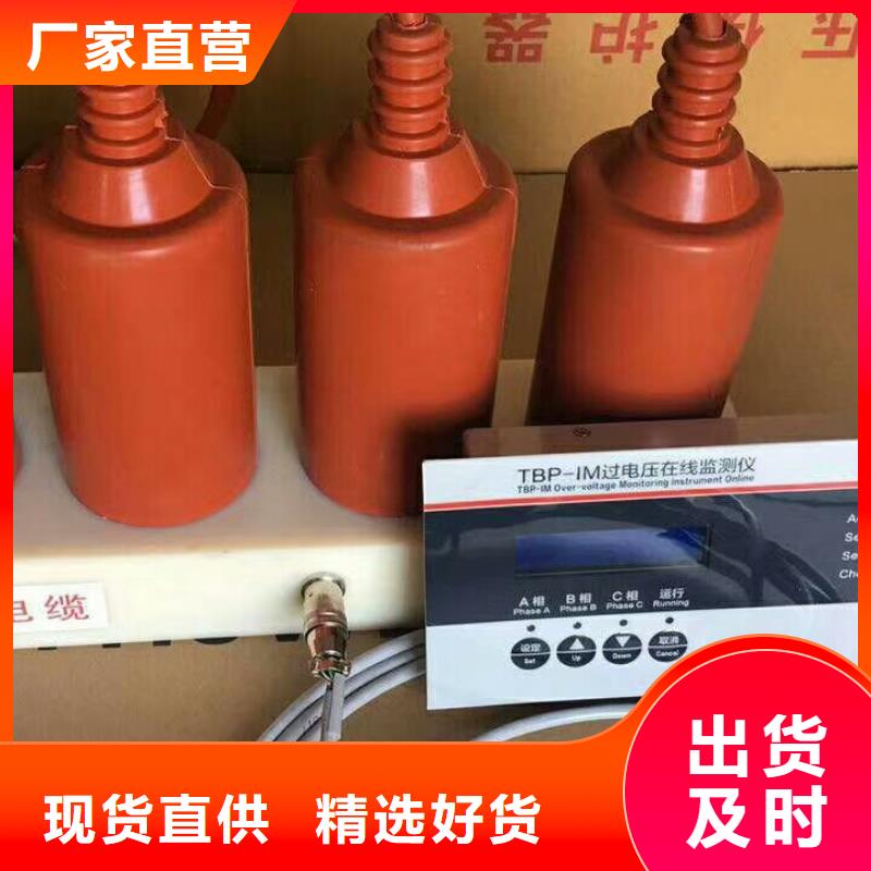 【组合式避雷器】TBP-A-42F/280-IM