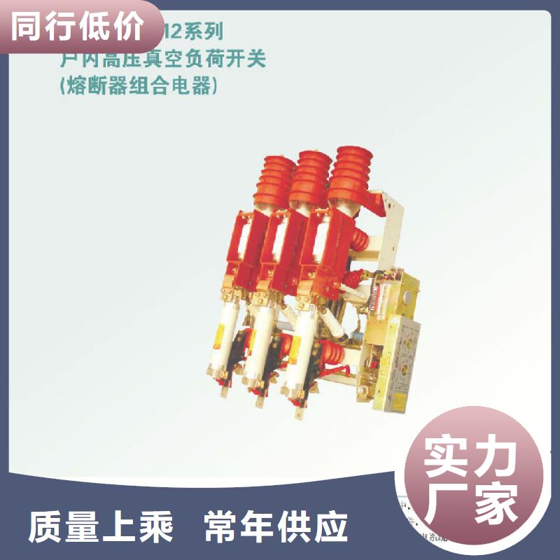 FZRN25A-12RD/125-31.5高压负荷开关【浙江羿振电气有限公司】