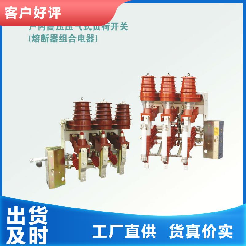 高压负荷开关FN21-12D/630-20-浙江羿振电气有限公司