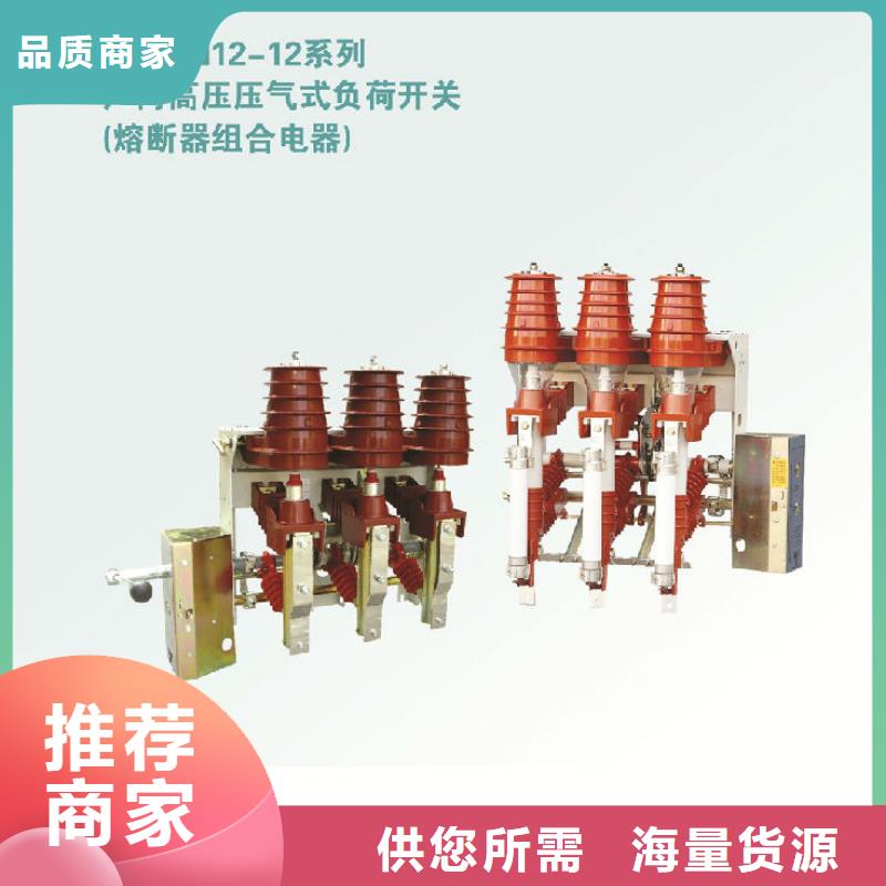 高压负荷开关ZFN23-10D/630-20