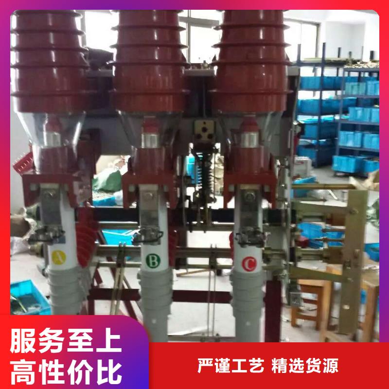 高压负荷开关FN21-12D/630-20-浙江羿振电气有限公司