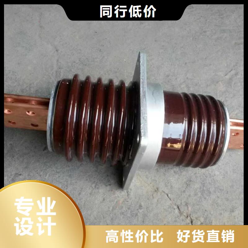 交流穿墙套管,AC20KV,陶瓷,1600A,无CT,铜.