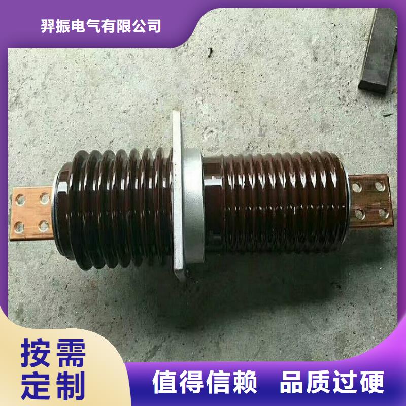 〖高压穿墙套管〗CWL-10KV/3000A了解更多