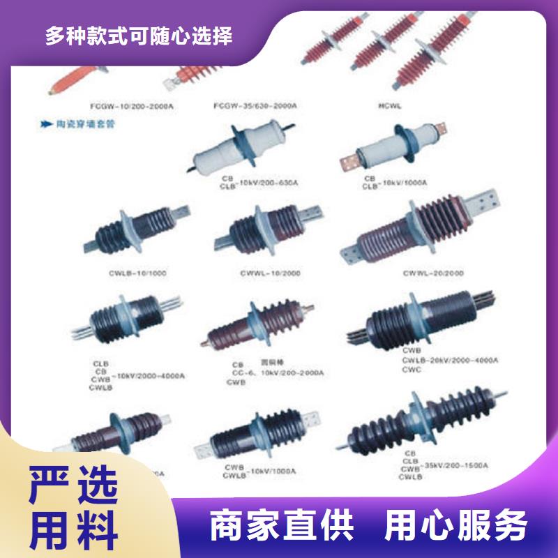 【穿墙套管】CWWL-10/3150A
