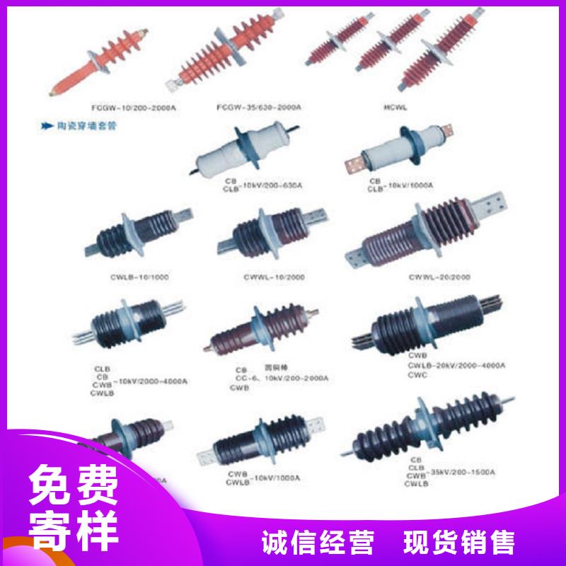 【穿墙套管】CWWL-10KV/3000A-4