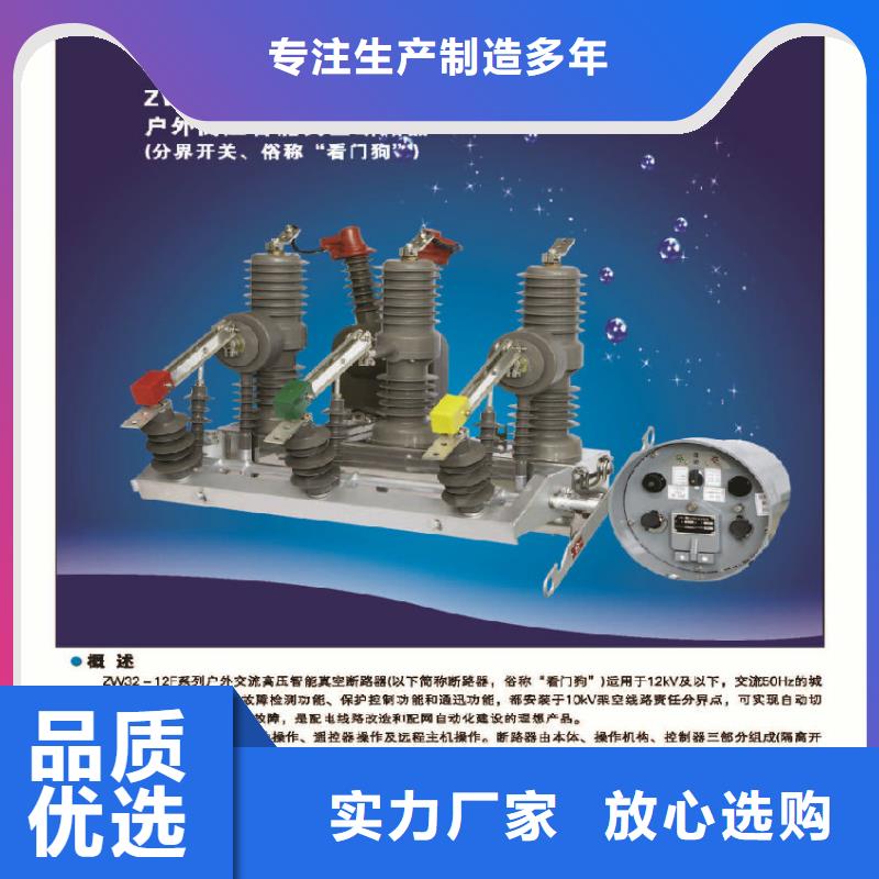 品牌：【羿振电气】/AC10kV.630A.25kA.真空.无隔离闸刀.户外(手动.弹簧)，共箱式/当天价格