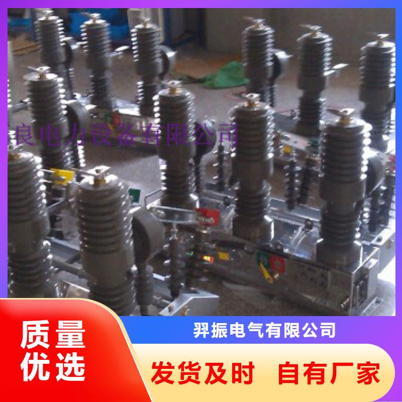 户外高压断路器ZW32-12F/630